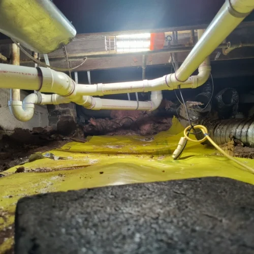 Full Commercial and Residential Repipes